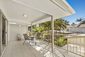 Noosa River Palms