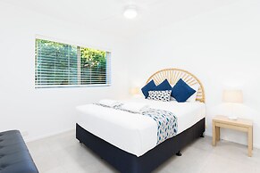 Noosa River Palms