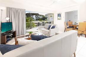 Noosa River Palms