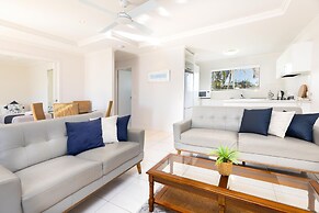 Noosa River Palms