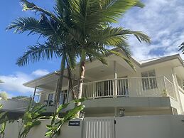 Noosa River Palms