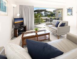 Noosa River Palms