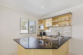Noosa River Palms
