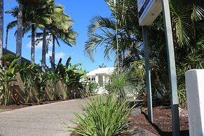 Noosa River Palms