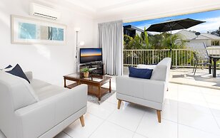 Noosa River Palms