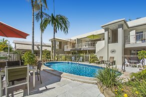 Noosa River Palms