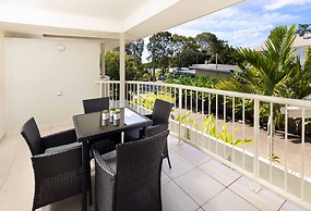 Noosa River Palms