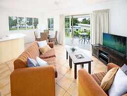 Noosa River Palms