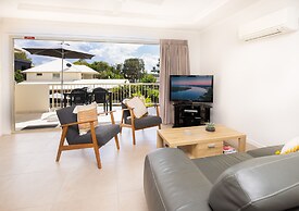 Noosa River Palms
