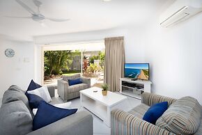 Noosa River Palms