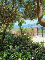 Calypso Studios