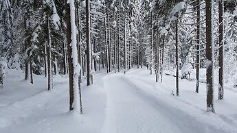 Bergresort Seefeld