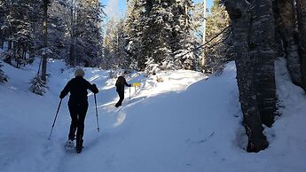Bergresort Seefeld