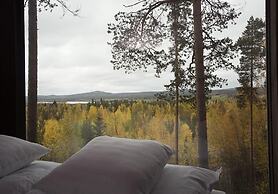 Tree Hotel