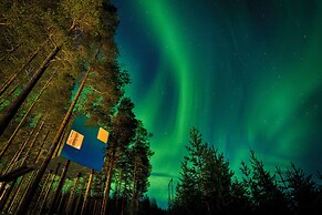 Tree Hotel