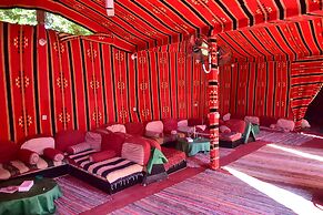 Dive Inn Resort