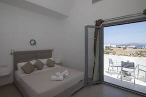 Thira's Dolphin