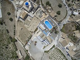 Thira's Dolphin