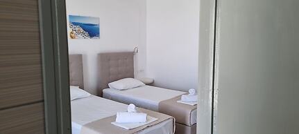Thira's Dolphin