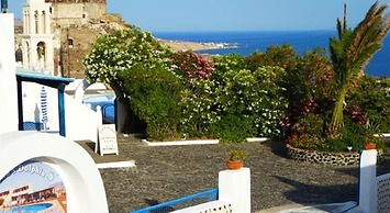 Thira's Dolphin