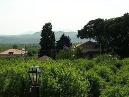 Gianferrante