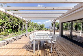 Pico Dreams - Sportfish