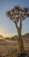 Solitaire Desert Farm