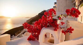 Asha Luxury Suites