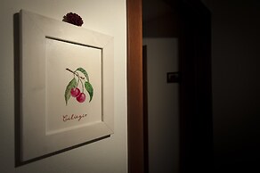 Antico Granaione