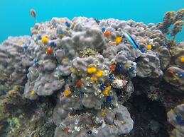 Coral View Resort