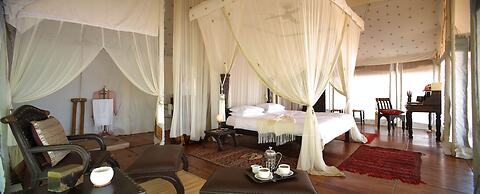 The Retreat Selous