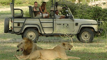 The Retreat Selous