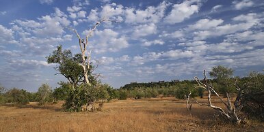 The Retreat Selous