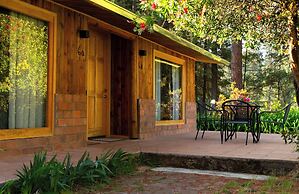 Rancho Viejo