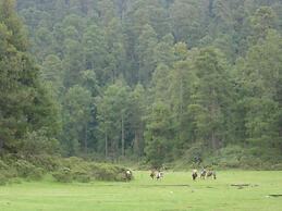Rancho Viejo