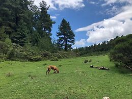 Rancho Viejo