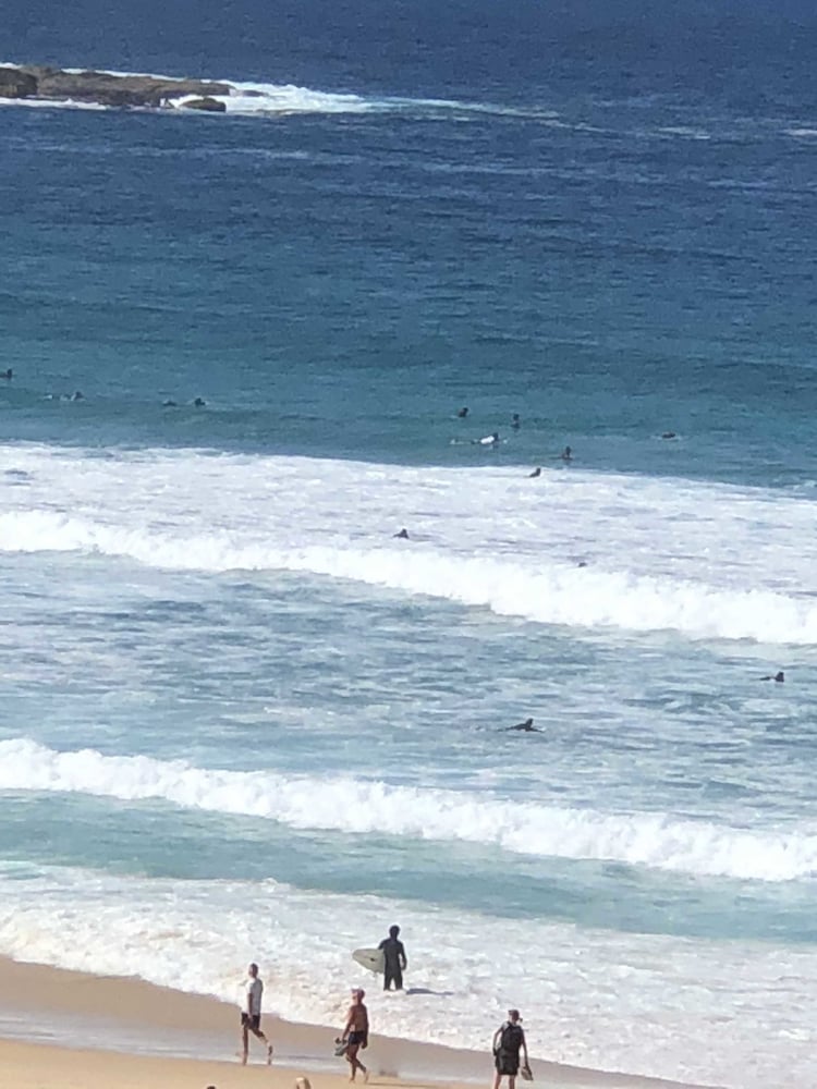 Bondi 38 Serviced Apartments