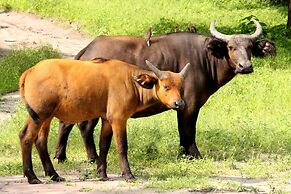 Fathala Wildlife Reserve
