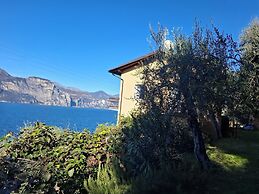 Villa Olivo