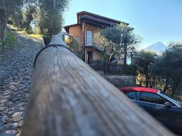 Villa Olivo