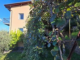 Villa Olivo