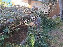 Villa Olivo