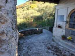 Villa Olivo