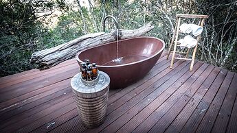 Camp Figtree