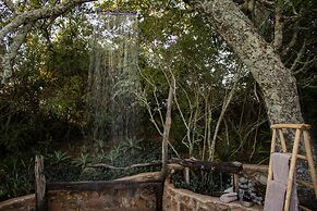 Camp Figtree