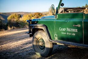 Camp Figtree