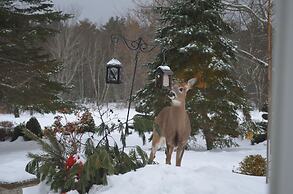 The Briarwood B&B