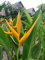 Bird of Paradise Bungalows