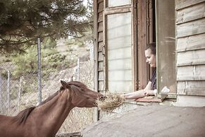Grand Forest Metsovo