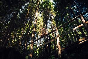 Torghele's Wald & Fluh